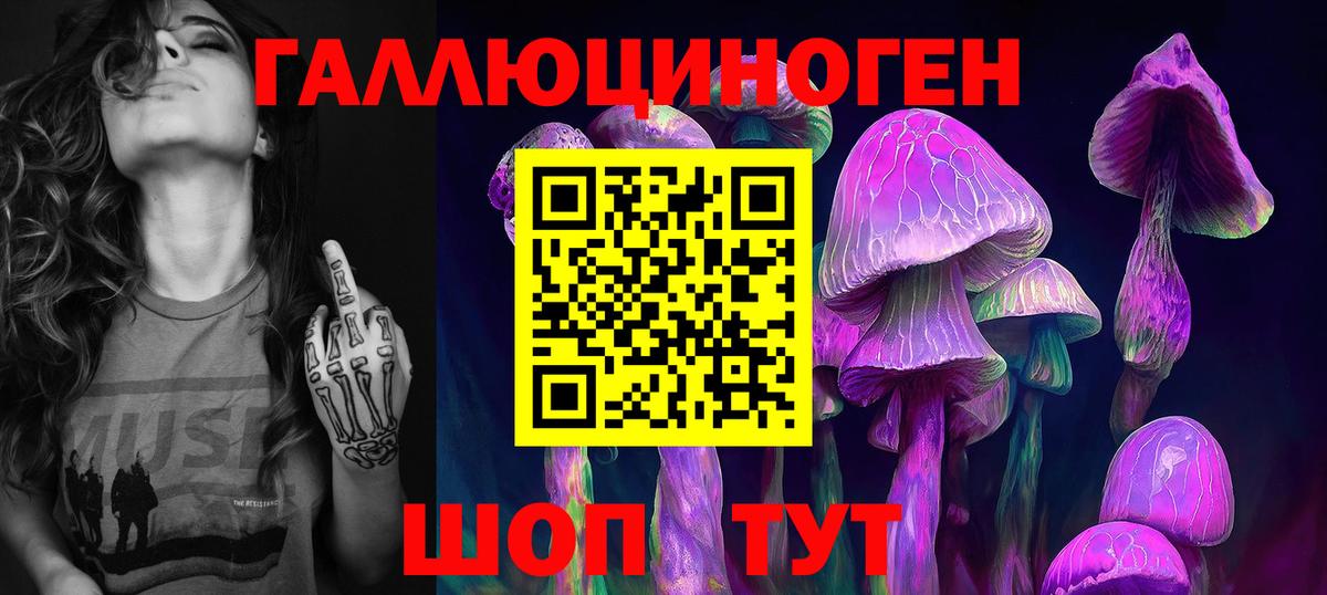 Галлюциногенные грибы прущие грибы Соль-Илецк