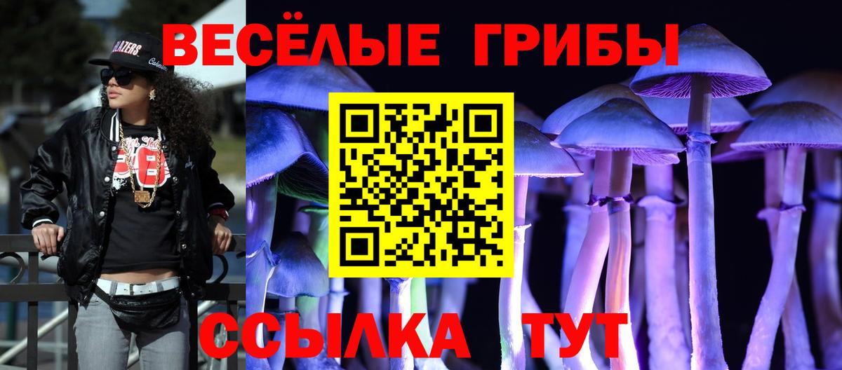 Соль-Илецк  Псилоцибиновые грибы Magic Shrooms  Вход с VPN 